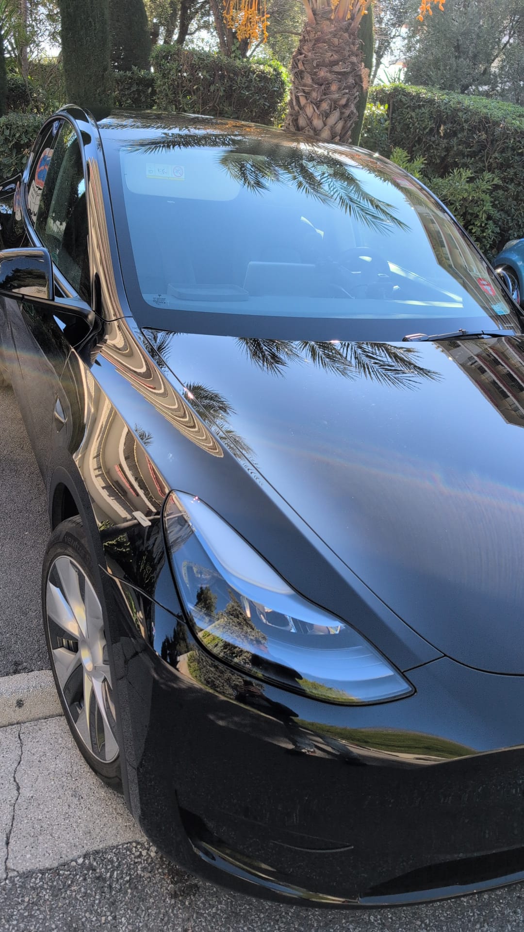 Tesla Model Y - photo 2